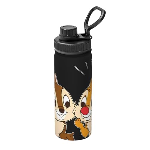 Disney　軽量ワンタッチボトル　チップ　デール ステンレスワンタッチボトル480ml（選べるキャラクター